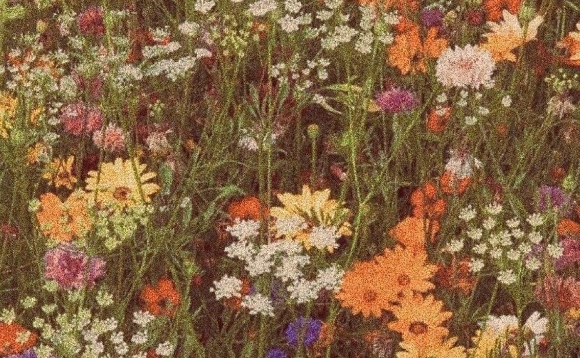 WhatsApp Image 2025-04-15 at 12.43.21