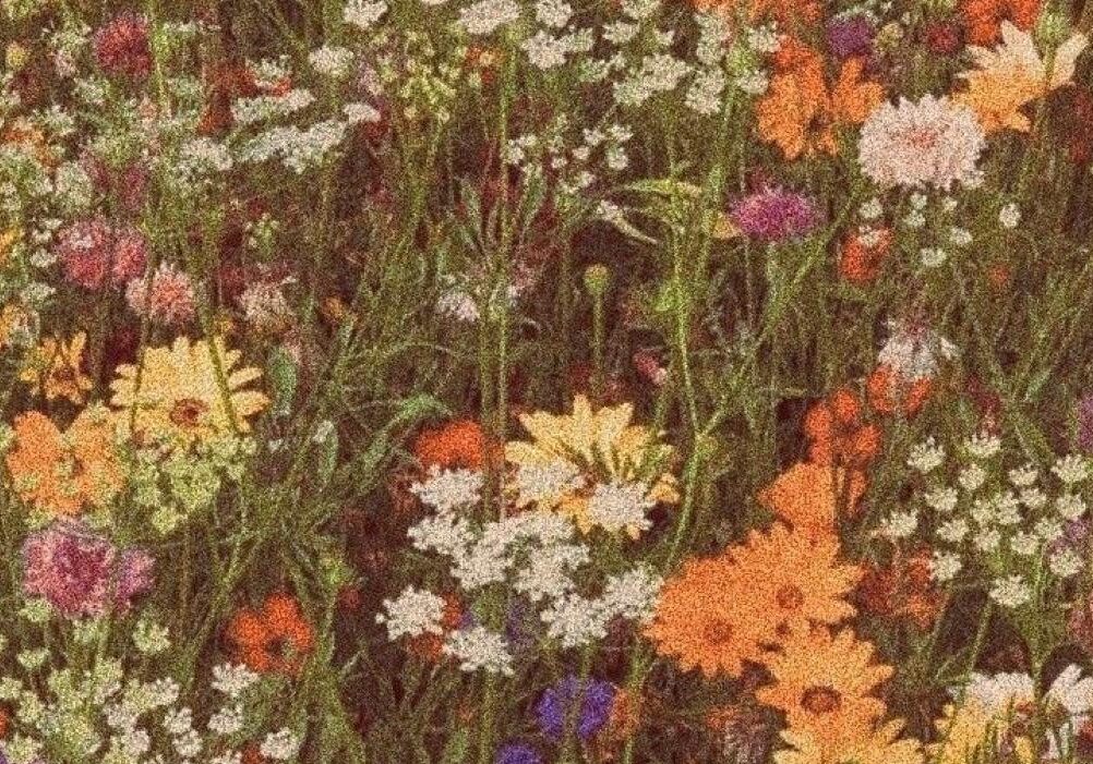 WhatsApp Image 2025-04-15 at 12.43.21